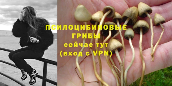 мескалин Балахна