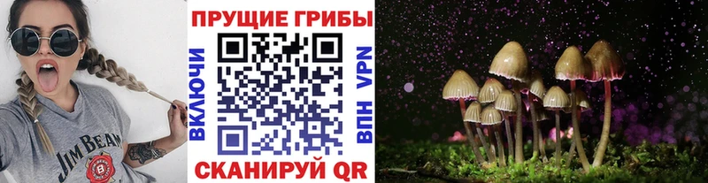 Псилоцибиновые грибы MAGIC MUSHROOMS Купить Набережные Челны